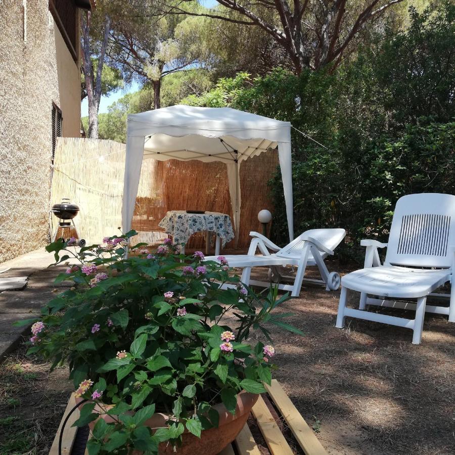 Oleandri Calaverde Sardegna Iun P1641 Pula Dış mekan fotoğraf